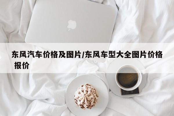 东风汽车价格及图片/东风车型大全图片价格 报价