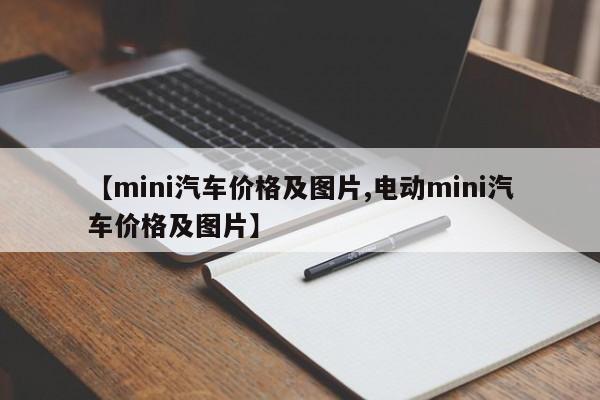 【mini汽车价格及图片,电动mini汽车价格及图片】
